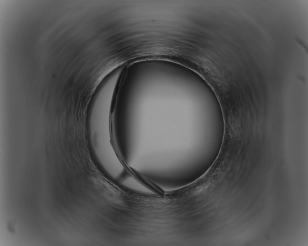 X0000091911073200709191315