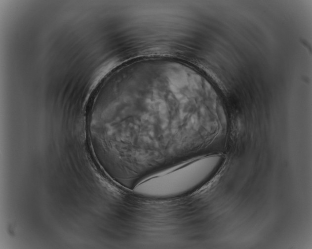 X0000091911075200709191315