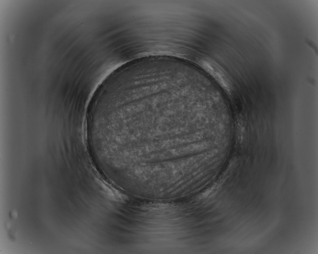 X0000091911076200709191315