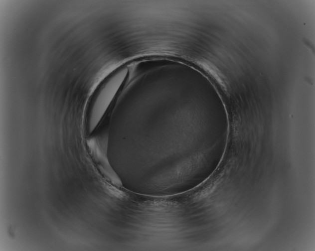 X0000091911077200709191315