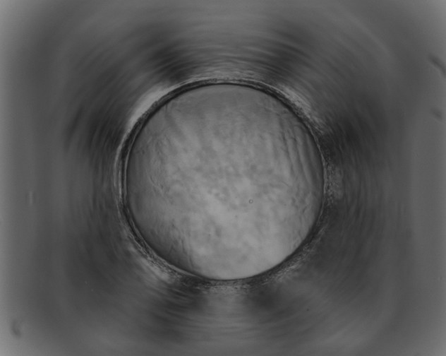 X0000091911078200709191315