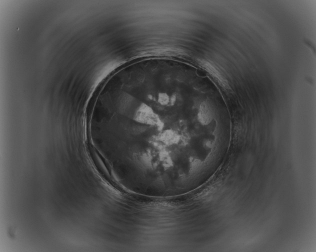 X0000091911079200709191315