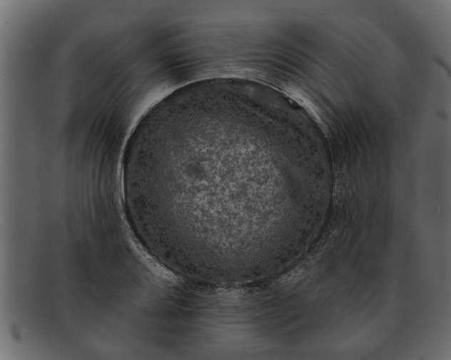 X0000091911080200709191315