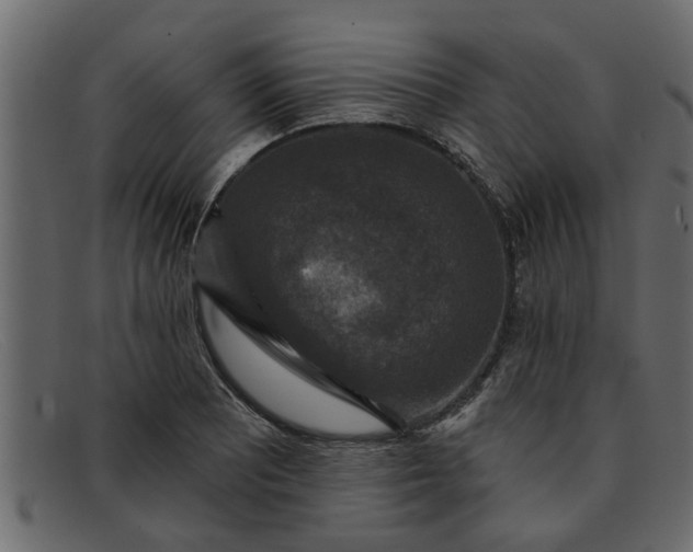 X0000091911081200709191315