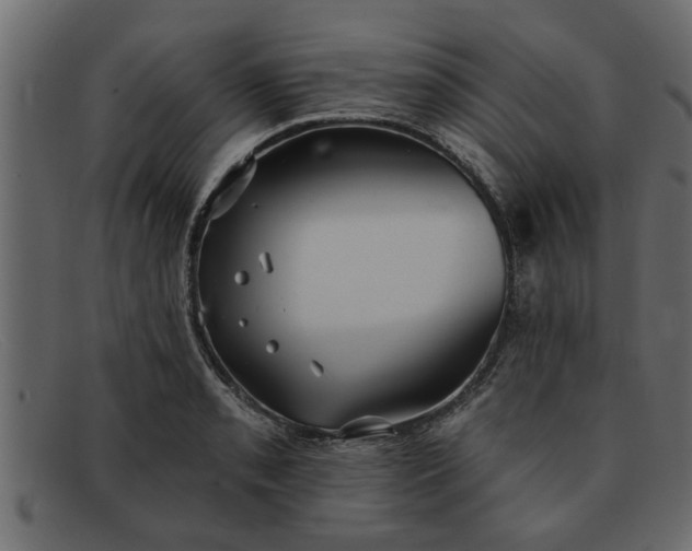 X0000091911085200709191315