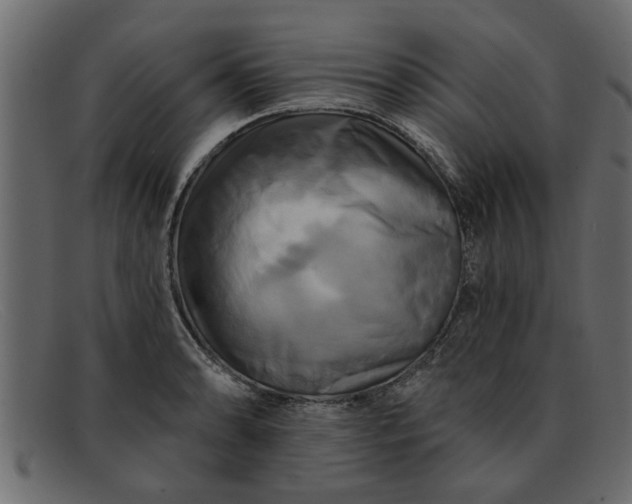 X0000091911086200709191315