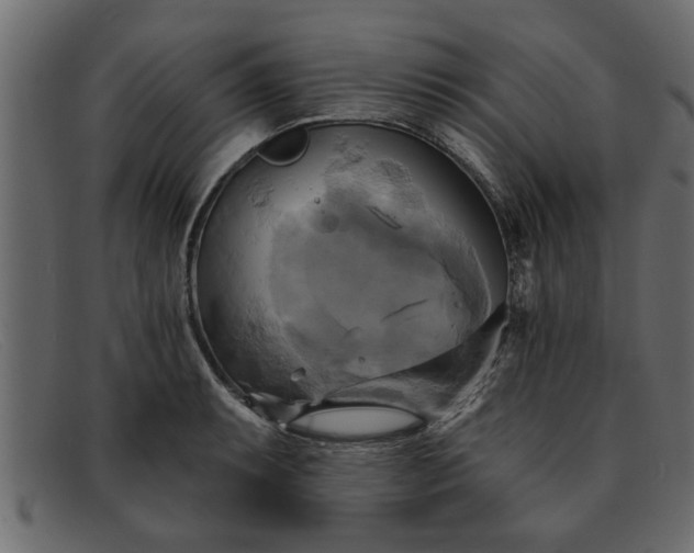 X0000091911087200709191315