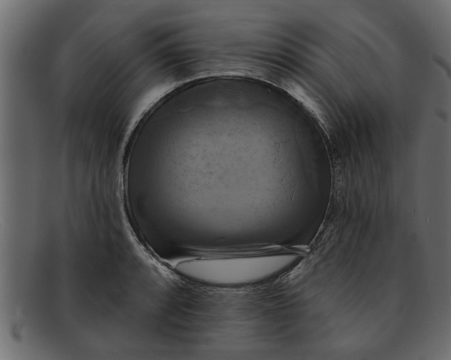 X0000091911088200709191315