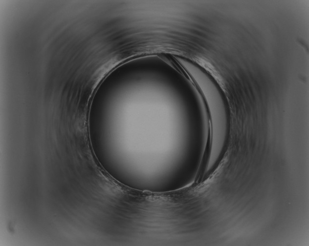 X0000091911089200709191315