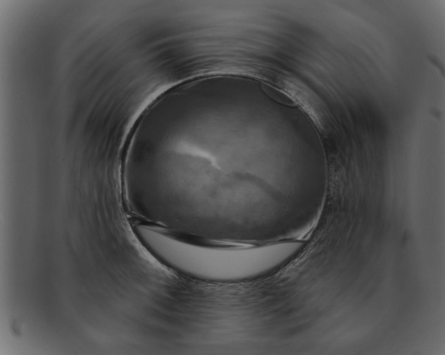 X0000091911092200709191315