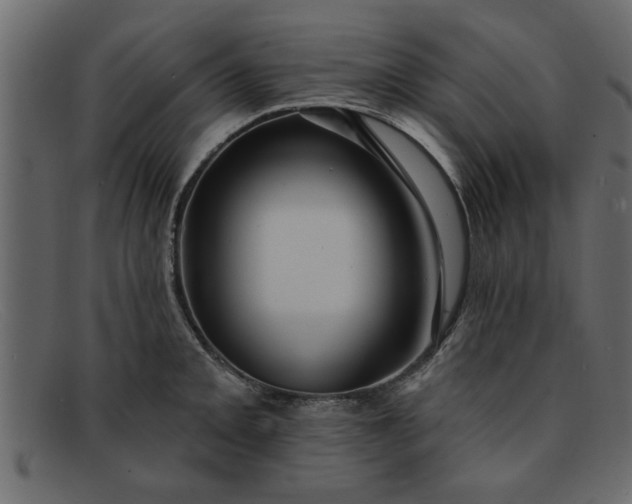 X0000091911093200709191315