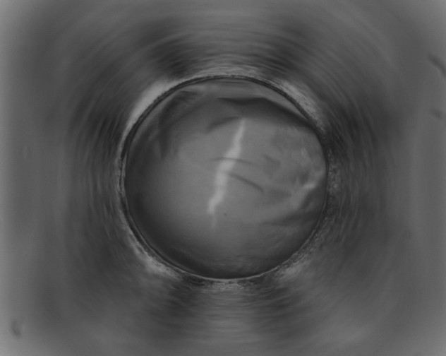 X0000091911094200709191315