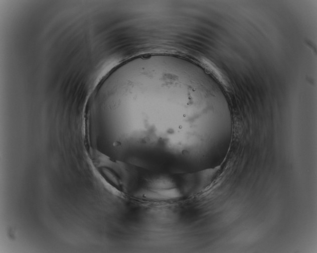 X0000091911095200709191315