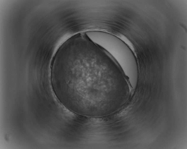 X0000091911096200709191315