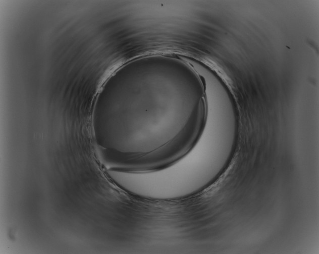 X0000091911097200709191315