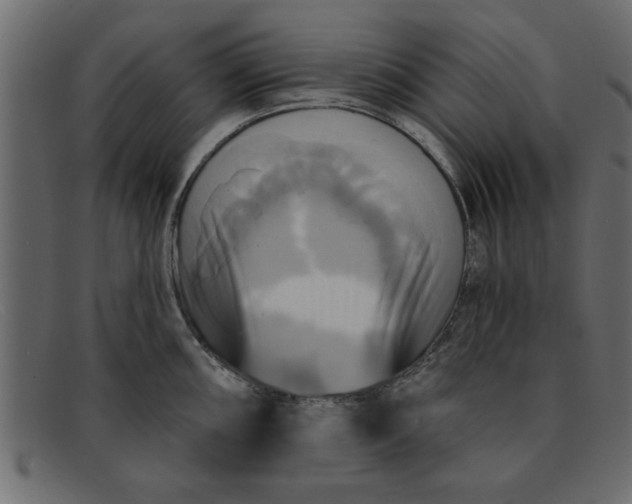 X0000091911098200709191315