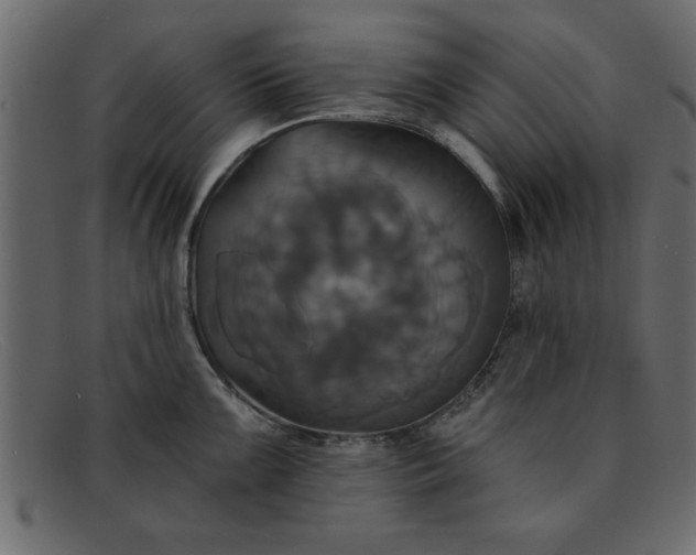 X0000091911099200709191315