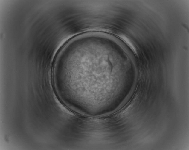 X0000091911100200709191315