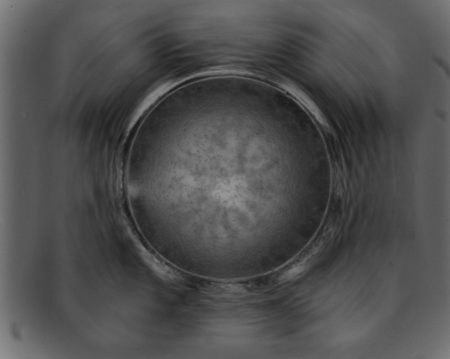 X0000091911101200709191315