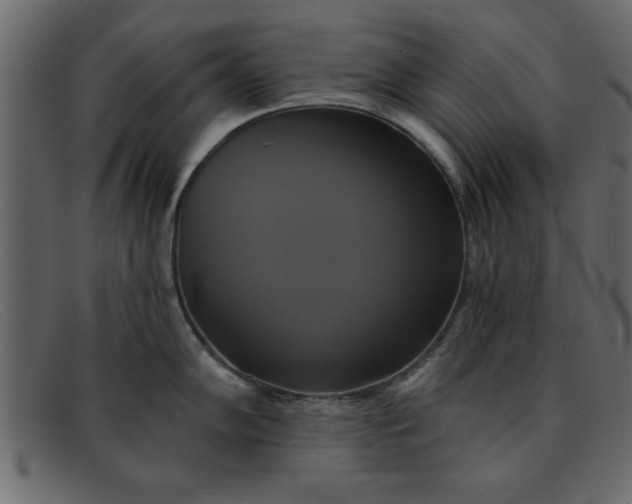 X0000091911102200709191315