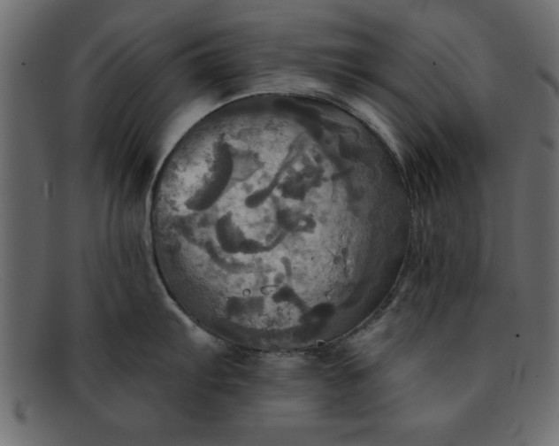 X0000091911103200709191315