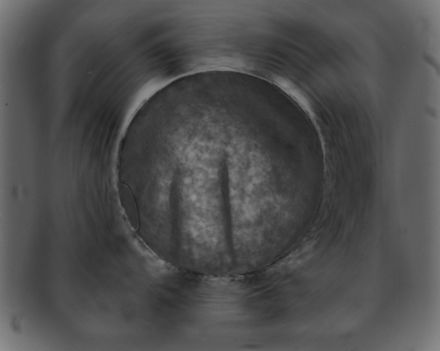 X0000091911104200709191315