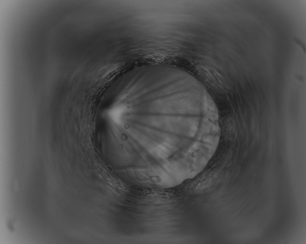 X0000091911105200709191314