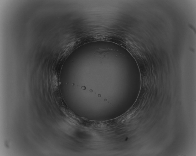 X0000091911106200709191314