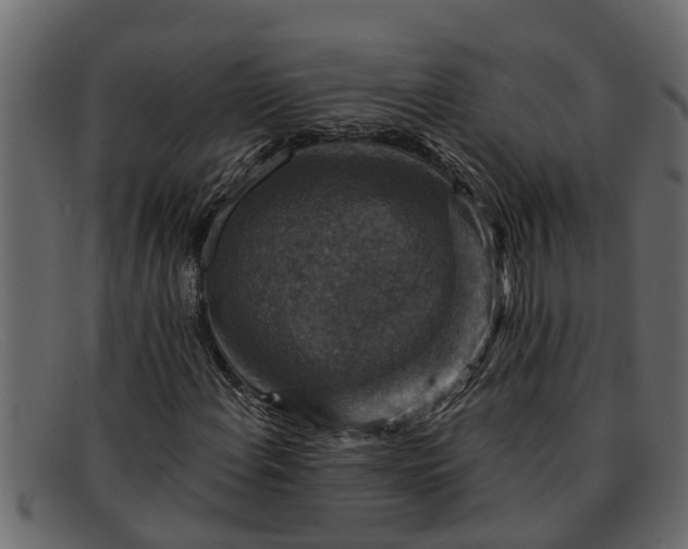 X0000091911108200709191314