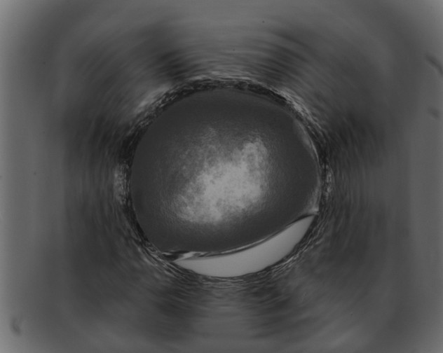 X0000091911110200709191314