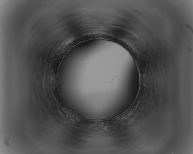 X0000091911111200709191314