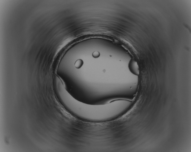 X0000091911114200709191314