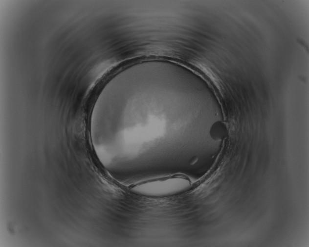 X0000091911115200709191314