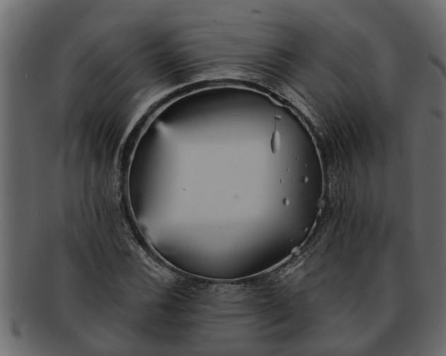 X0000091911116200709191315