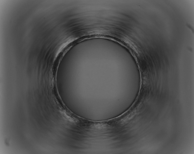 X0000091911117200709191315