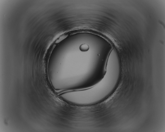 X0000091911118200709191315