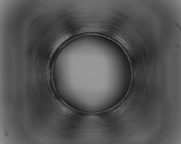 X0000091911119200709191315