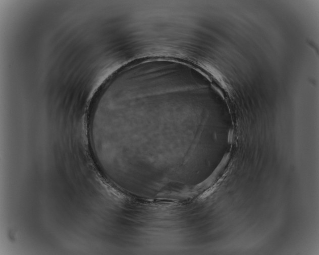 X0000091911120200709191315