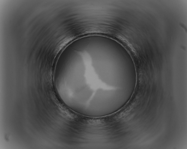 X0000091911121200709191315