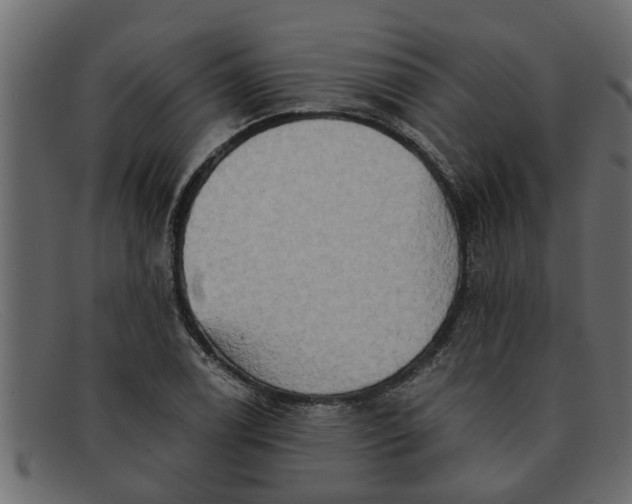 X0000091911122200709191315