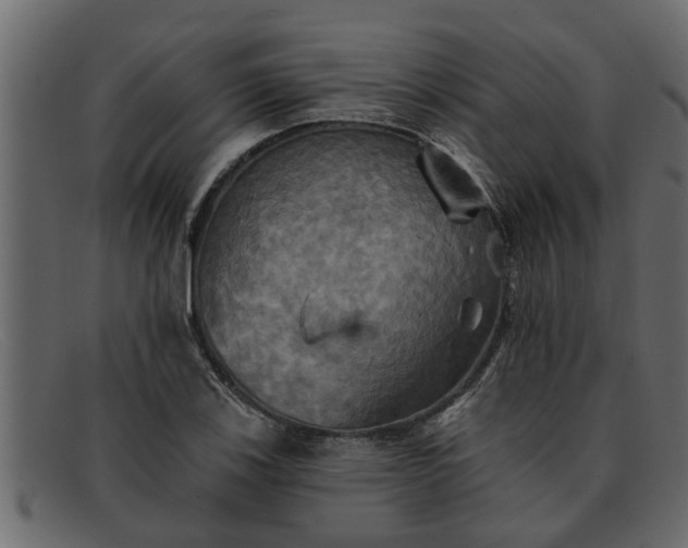 X0000091911123200709191315