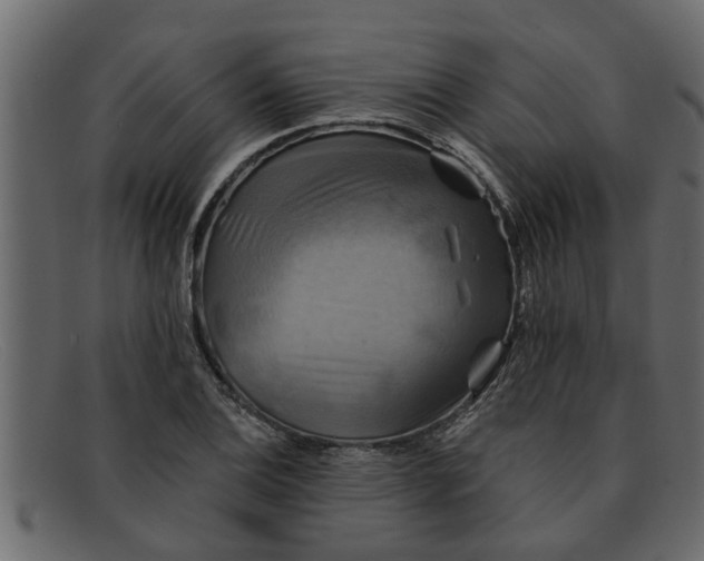 X0000091911124200709191315