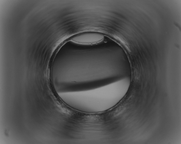 X0000091911125200709191315