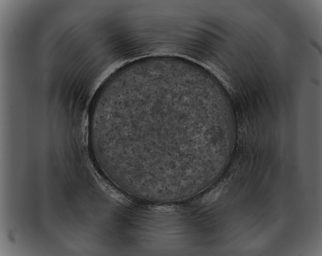 X0000091911126200709191315