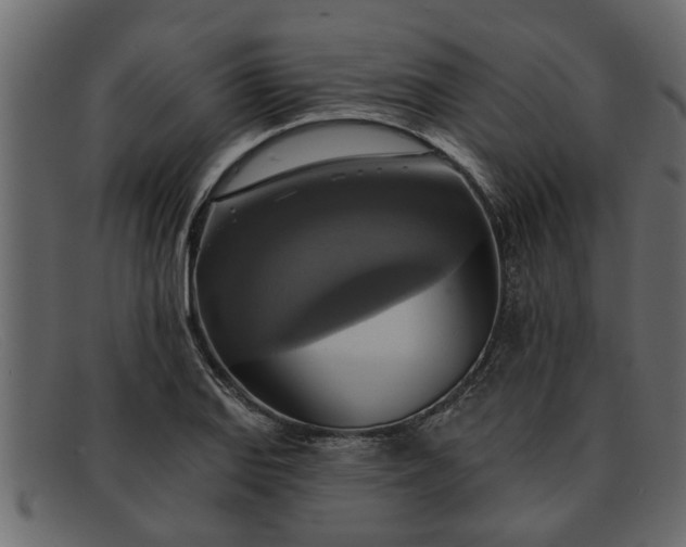 X0000091911127200709191315