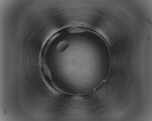 X0000091911128200709191315