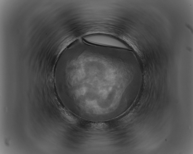 X0000091911129200709191315