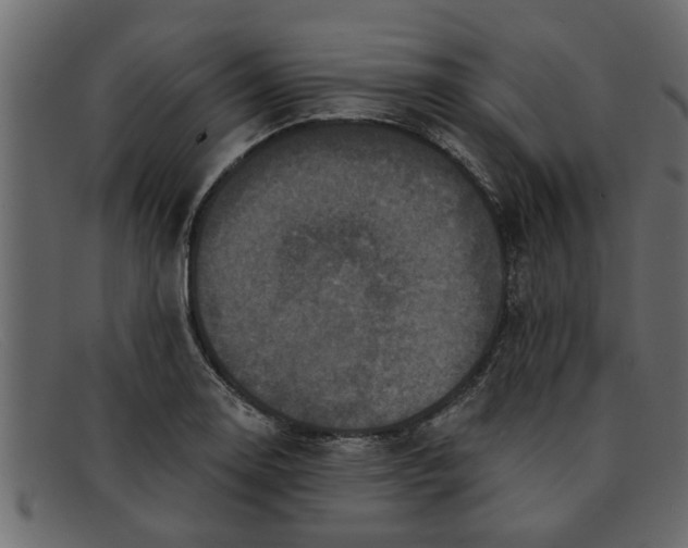 X0000091911130200709191315