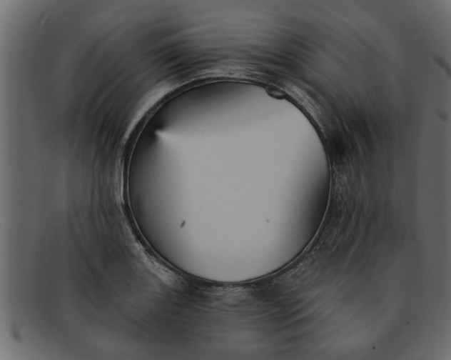 X0000091911131200709191315