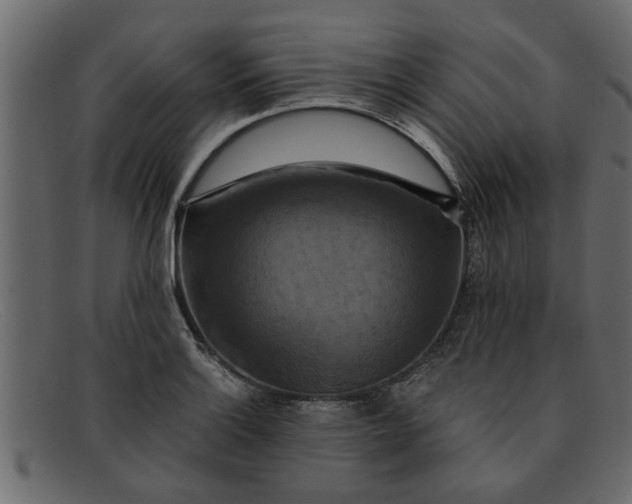 X0000091911132200709191315